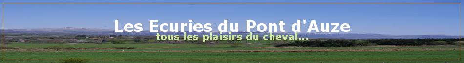 Les Ecuries du Pont d'Auze